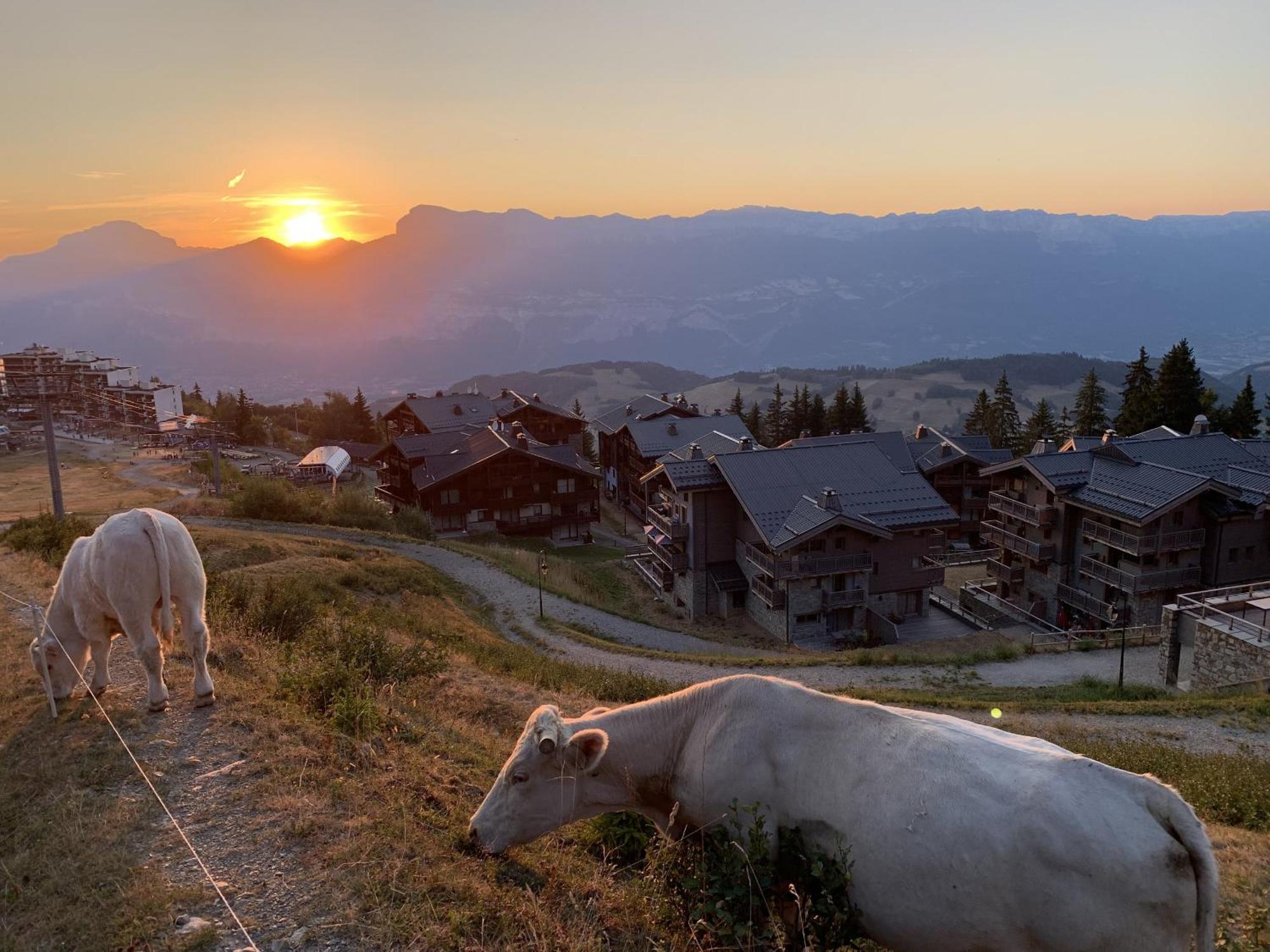Les 7 Laux Immobilier Chalet E Prapoutel Exteriér fotografie