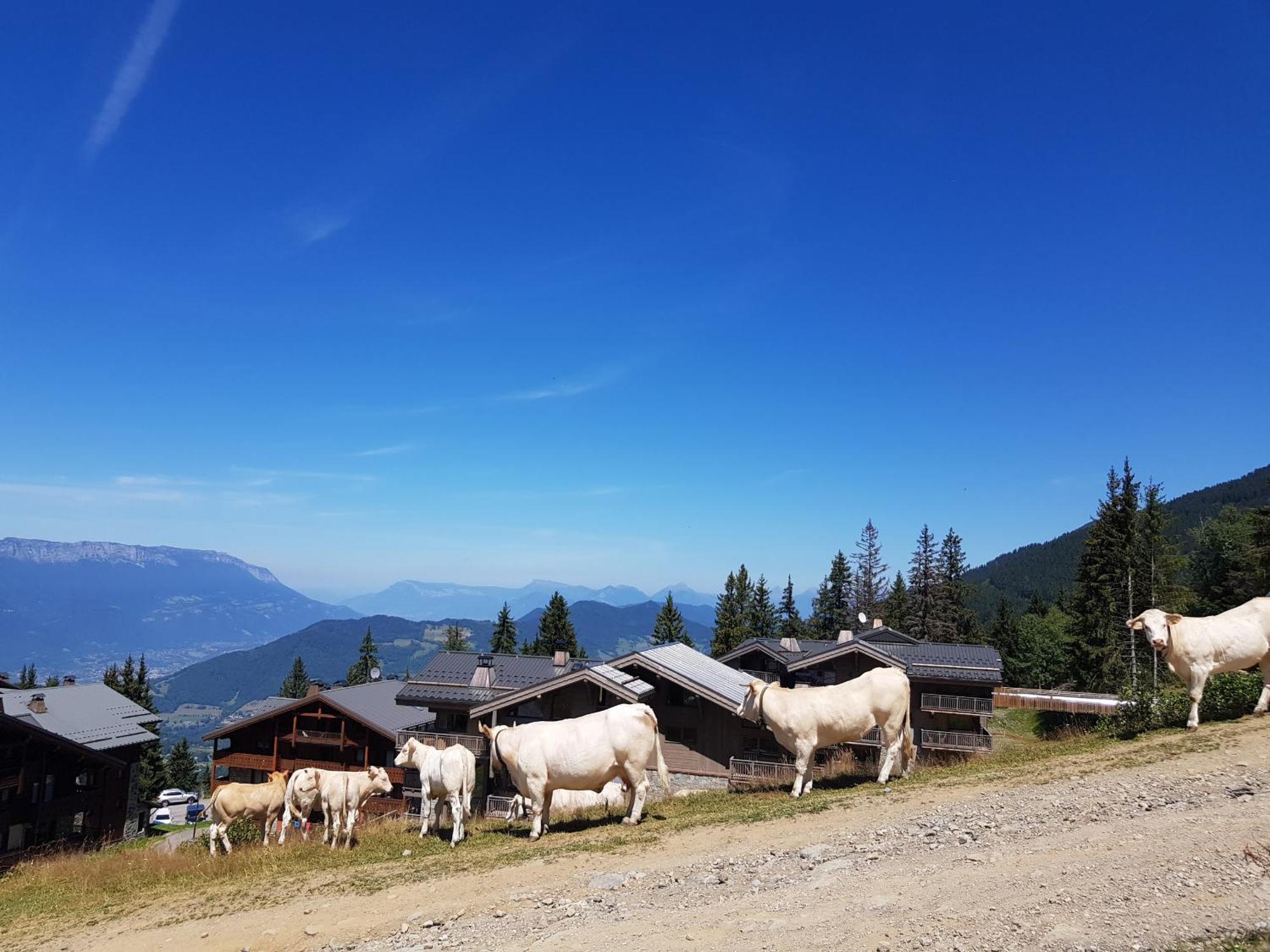 Les 7 Laux Immobilier Chalet E Prapoutel Exteriér fotografie