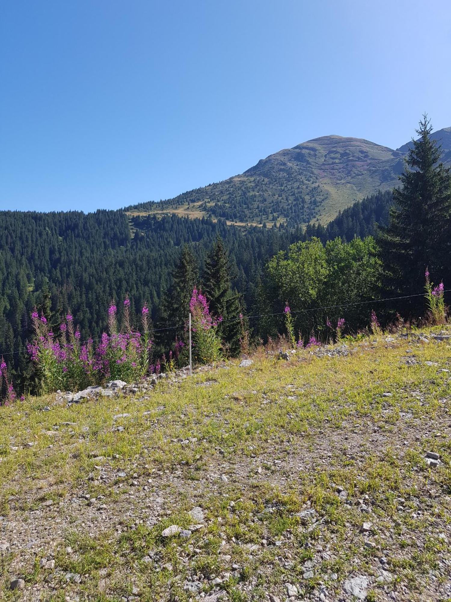Les 7 Laux Immobilier Chalet E Prapoutel Exteriér fotografie